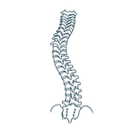 Scoliosis treatment factor - curve severity